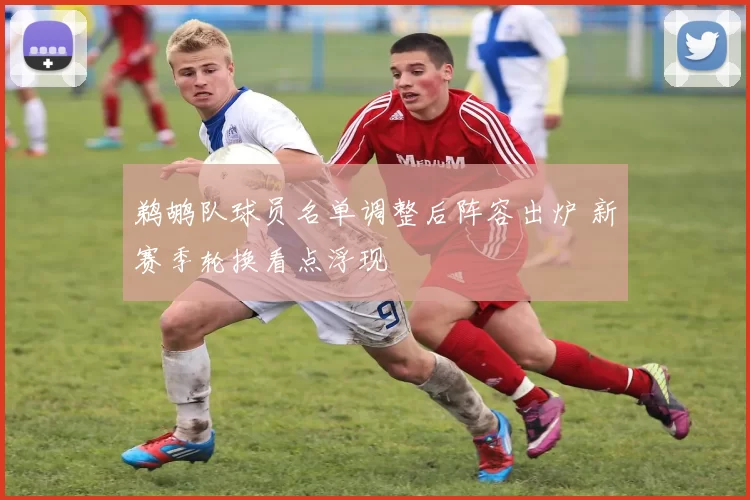 鹈鹕队球员名单调整后阵容出炉 新赛季轮换看点浮现